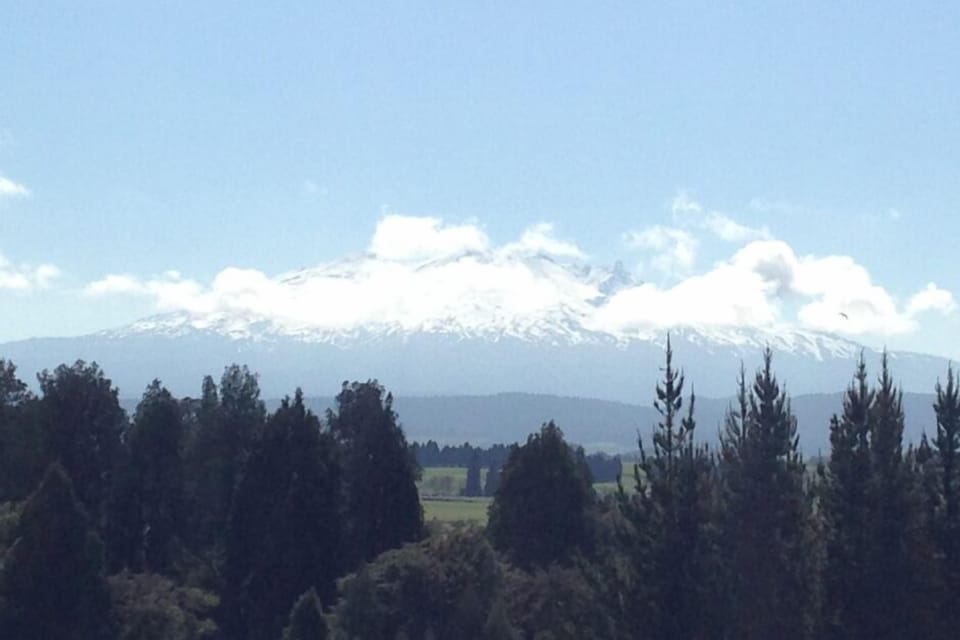 A view from the top of the site