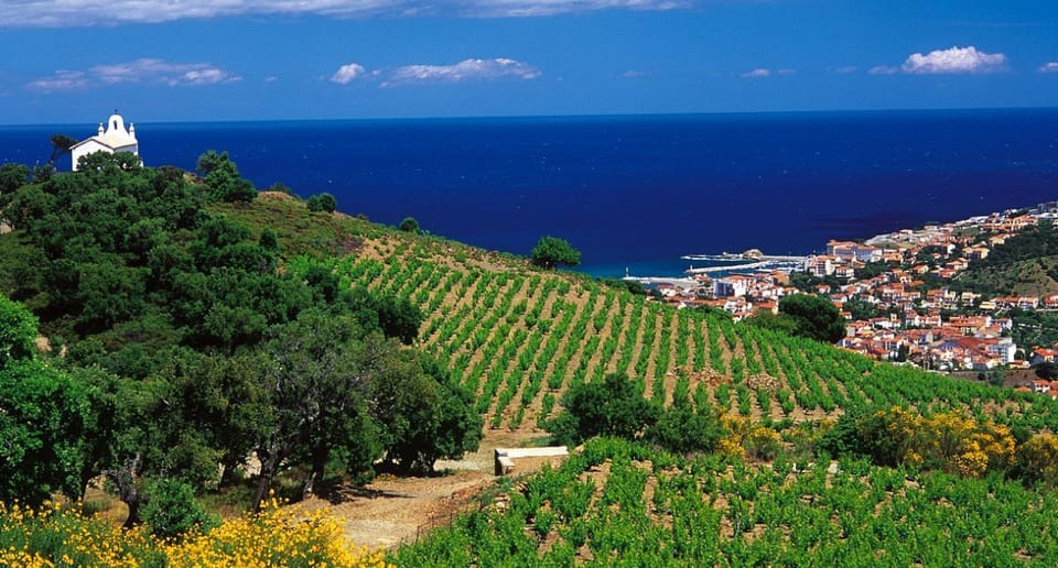 Amazing views of Wineyards and Mediterrenean - right outside the door!