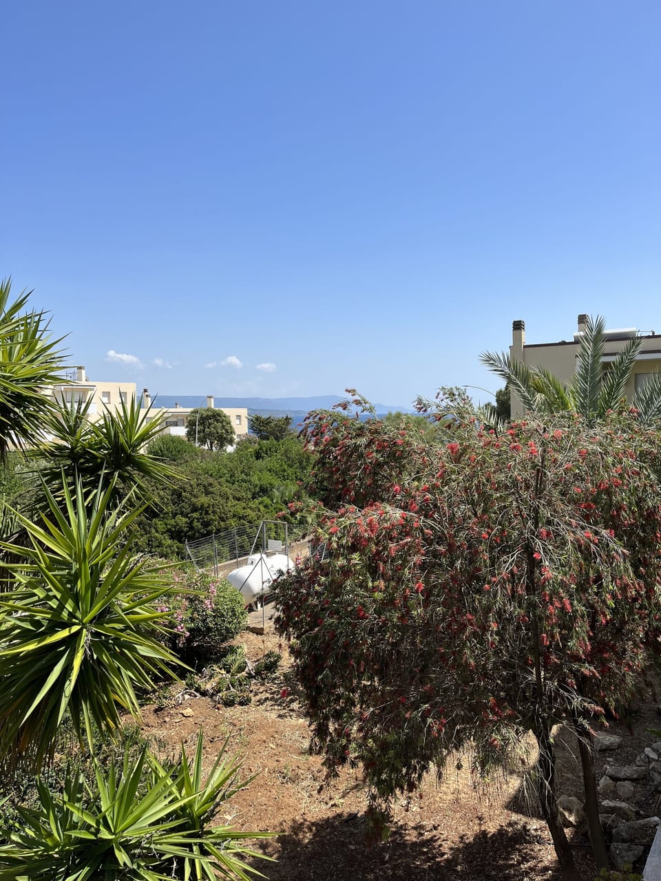 View from property