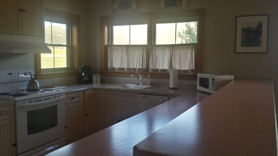 The kitchen and dining counter enjoy soft afternoon natural light. 