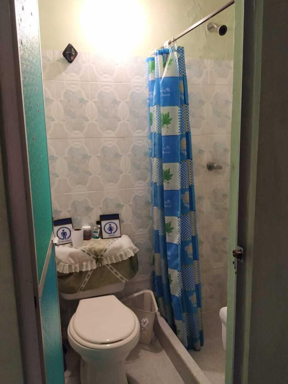 Shower, rainfall showerhead, towels