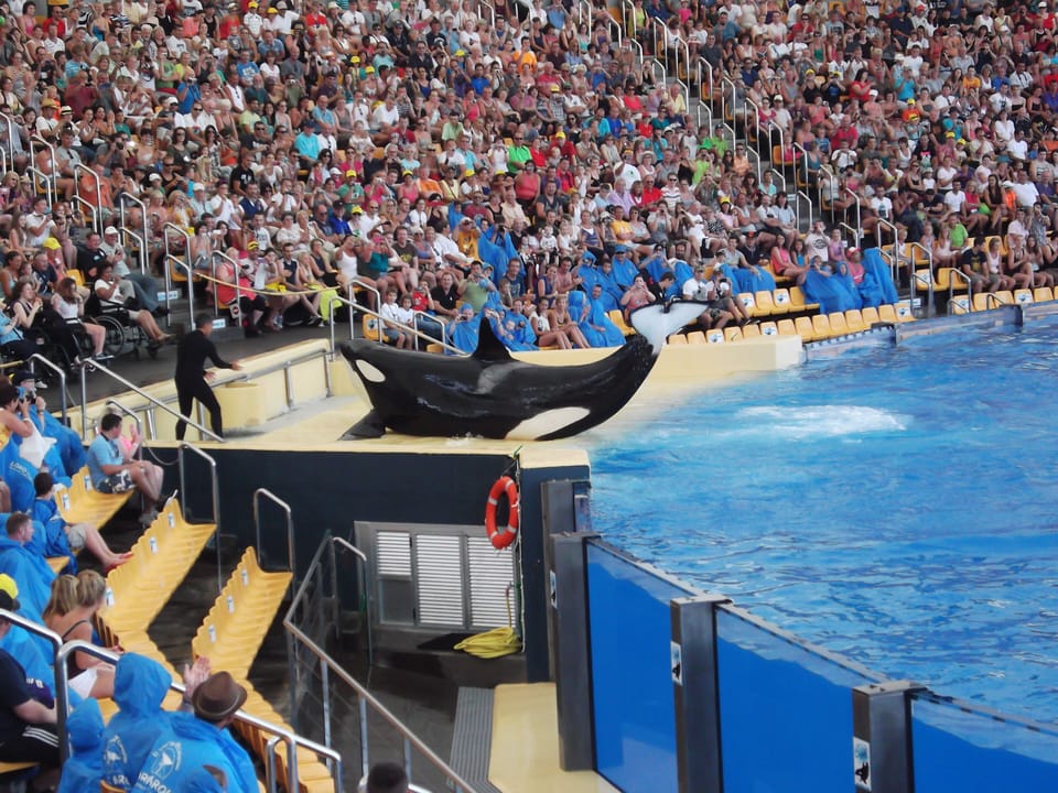 Loro Parque