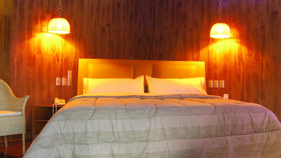 Design Cabin, 1 King Bed, Smoking, Lake View | Individually decorated, individually furnished, blackout drapes