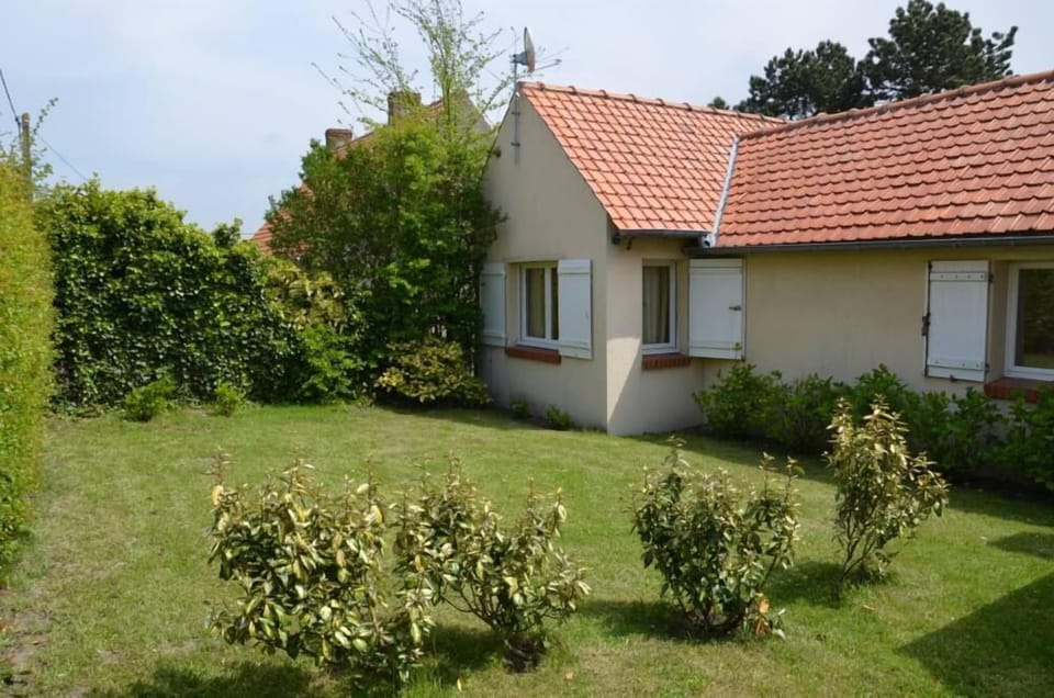 Garden, Park