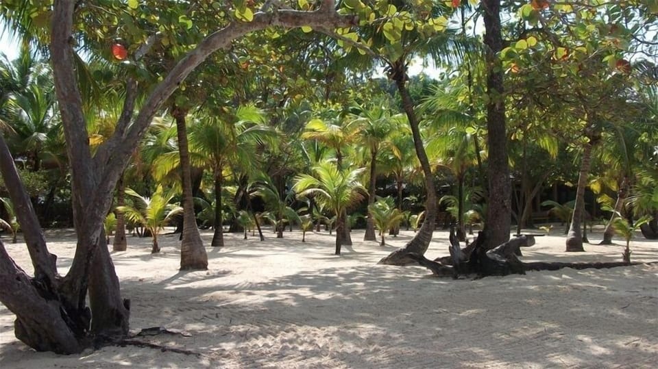 Garden walk nextdoor to the resort.