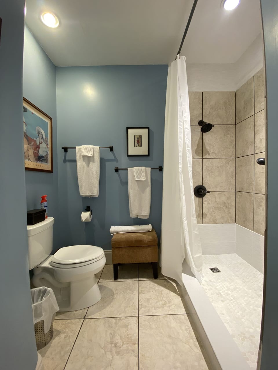 Toilet and shower area