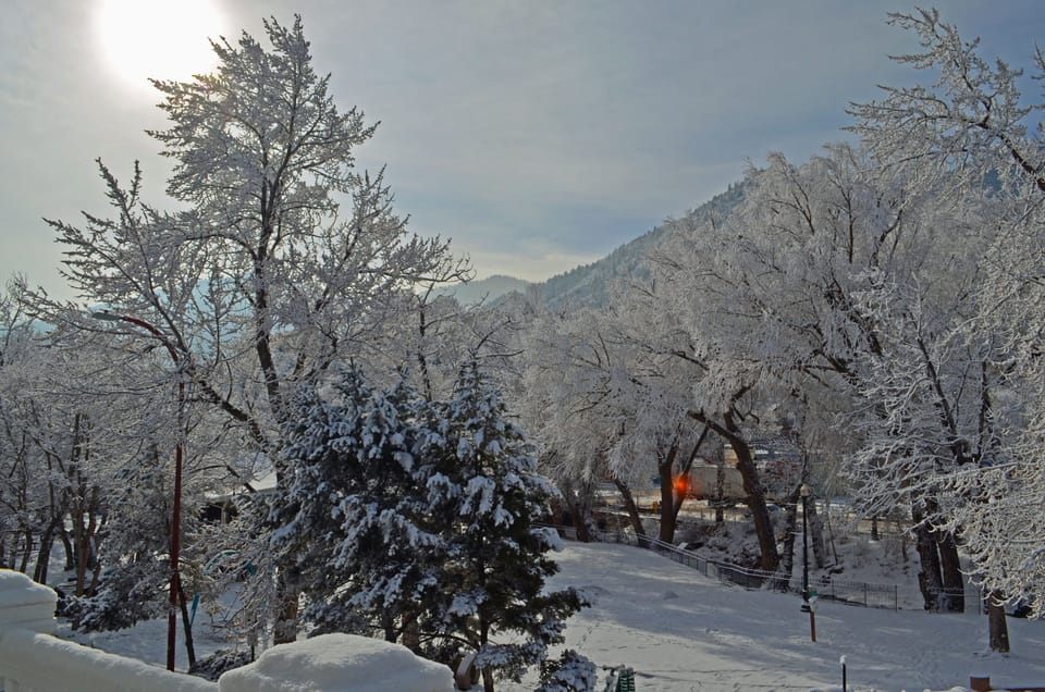 winter view of the park