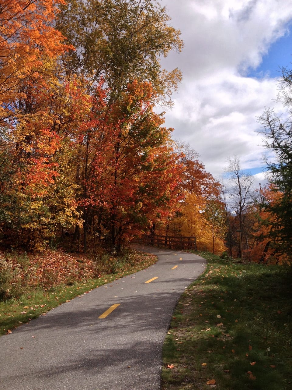 Bicycling