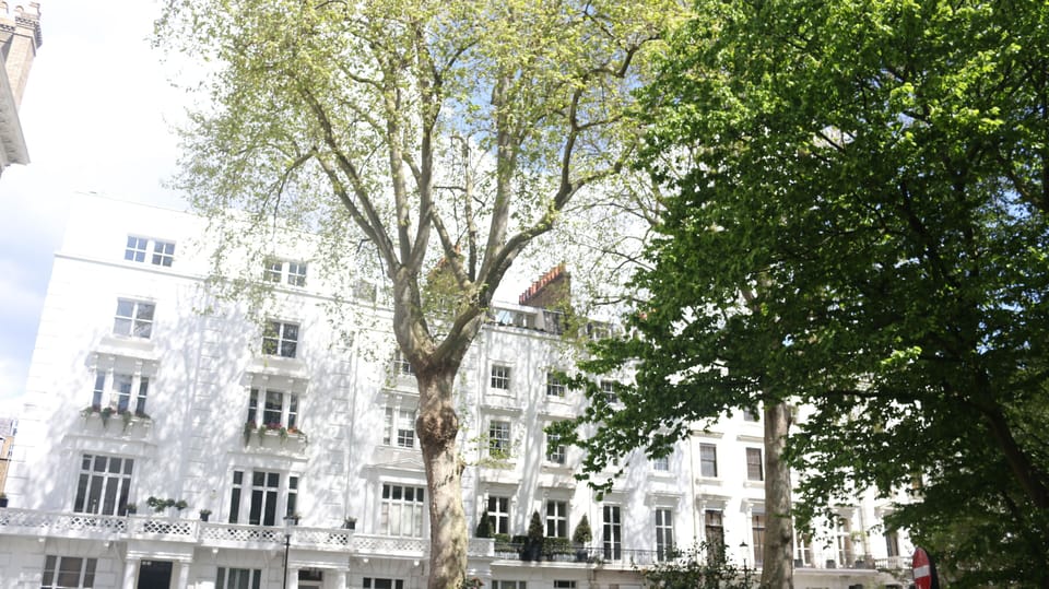 Apartment is in a lovely square just off the BROMPTON ROAD shopping area.