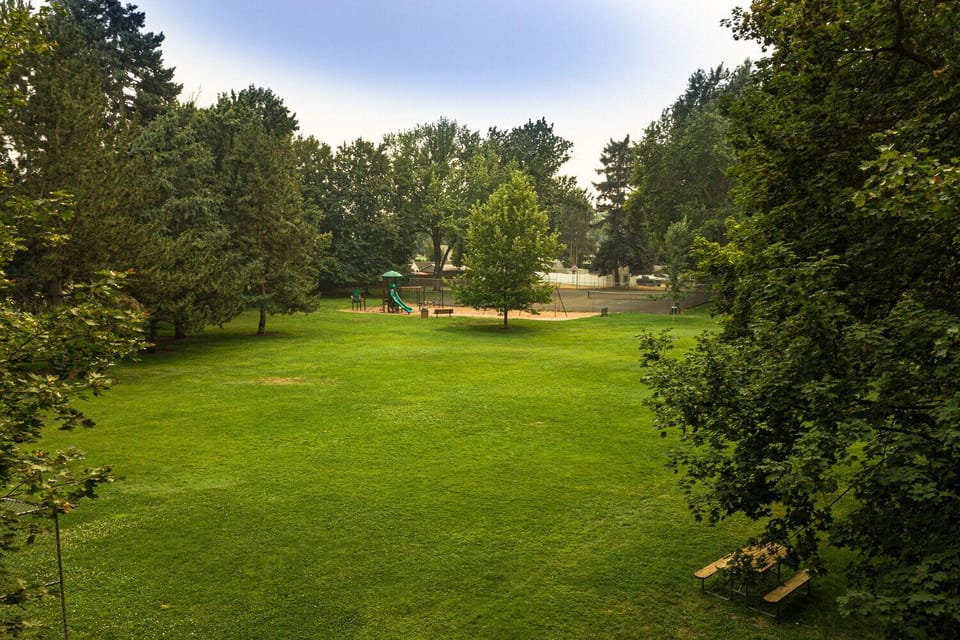 Menlo Park shaded grass field.
