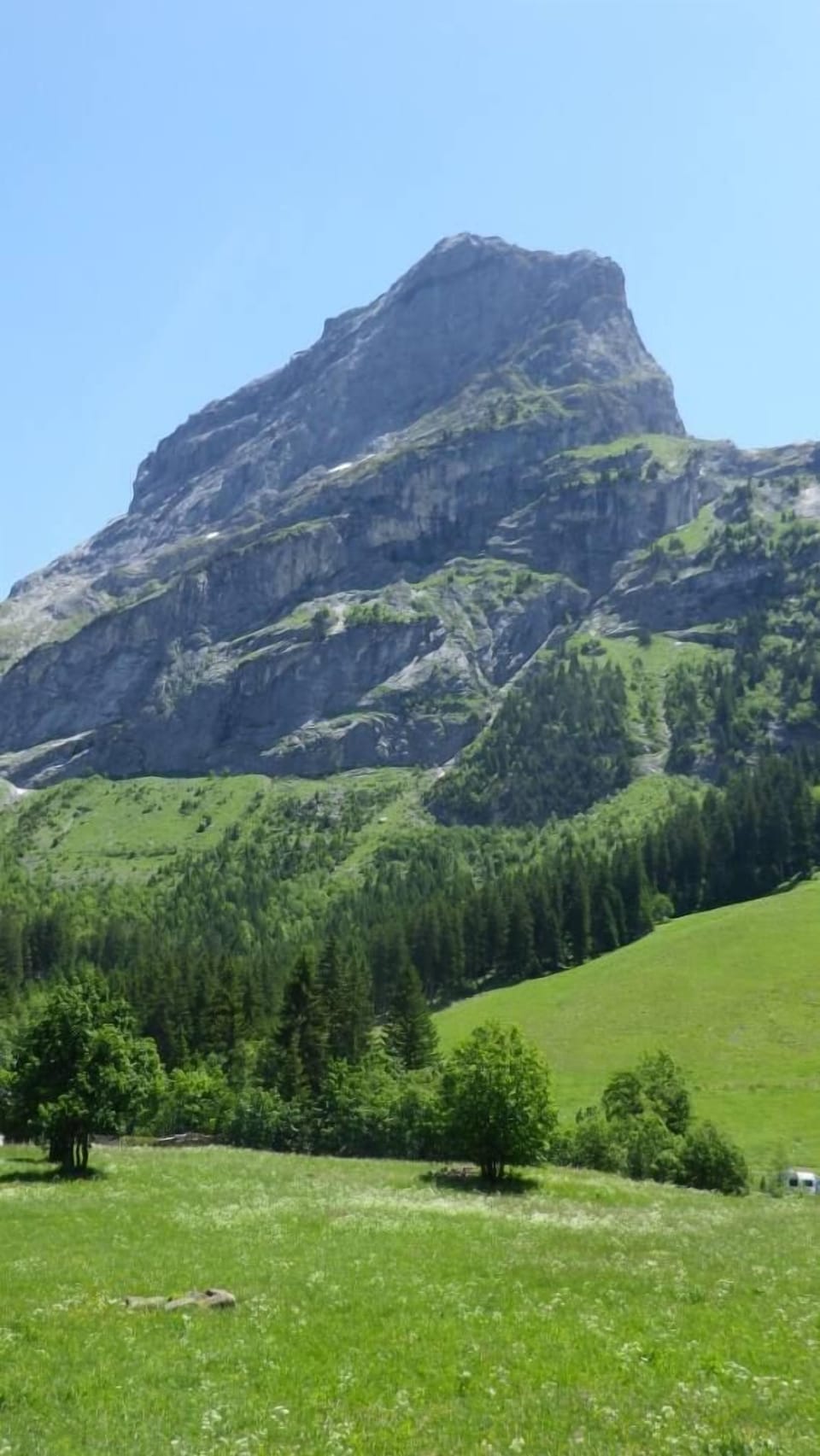 Mountain view