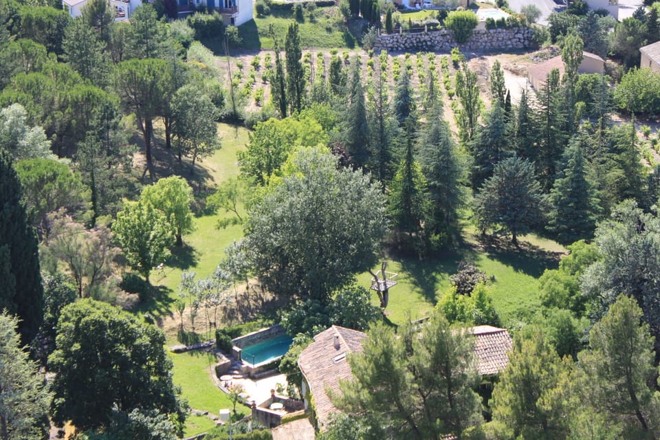 Overview of the house, the garden, and the pool