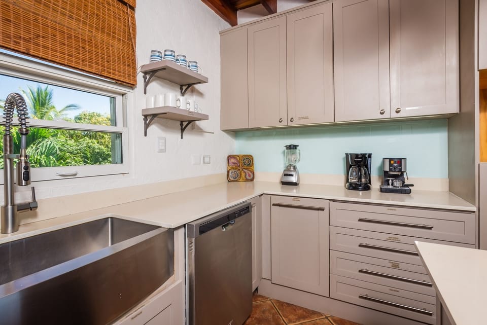 Dishwasher and plenty of appliances