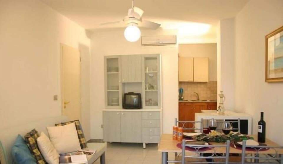 Flat-screen TV