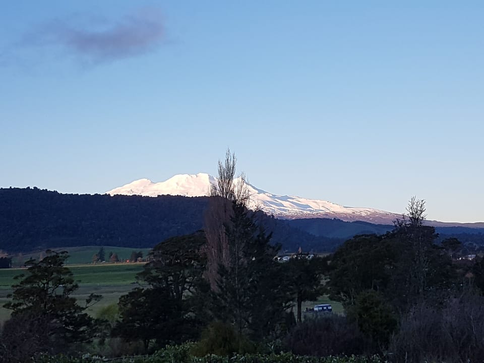 The view with the evening sun reflected off Mt Ruapehu