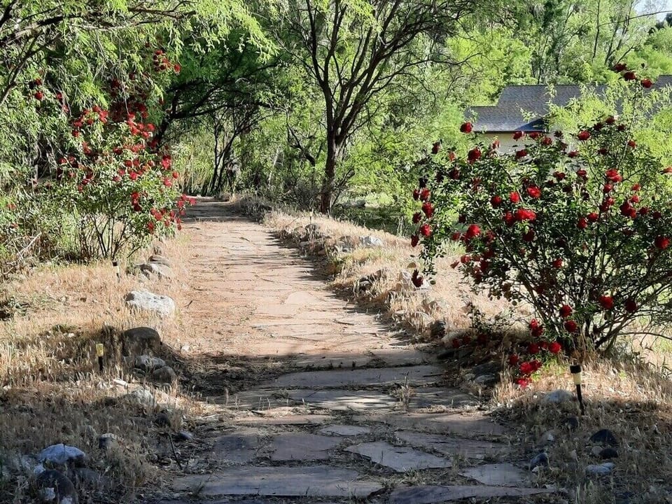 Springtime walk to gazebo