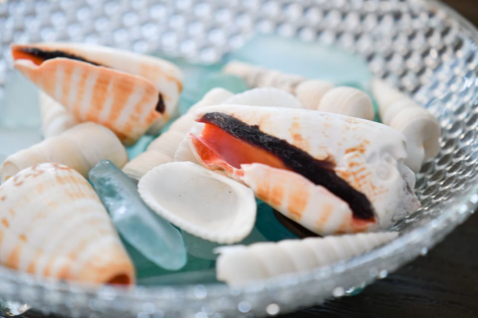 take a shell....leave a shell