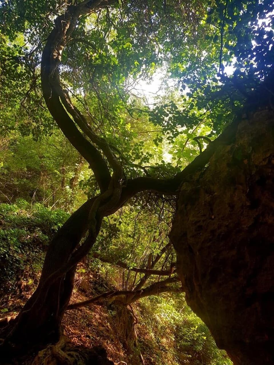 Land view from property