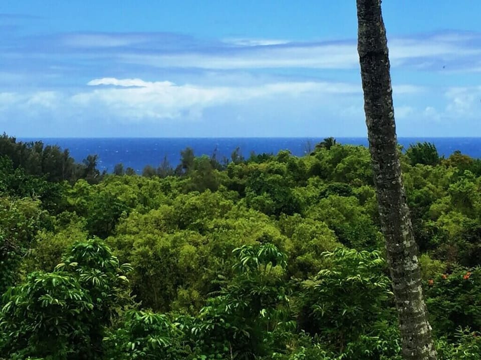 DISTANT OCEAN VISTA VIEWS SET ATOP THE JUNGLE
