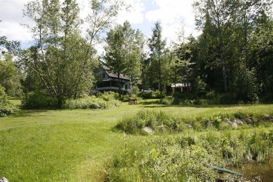 Looking back across the lawns towards the house