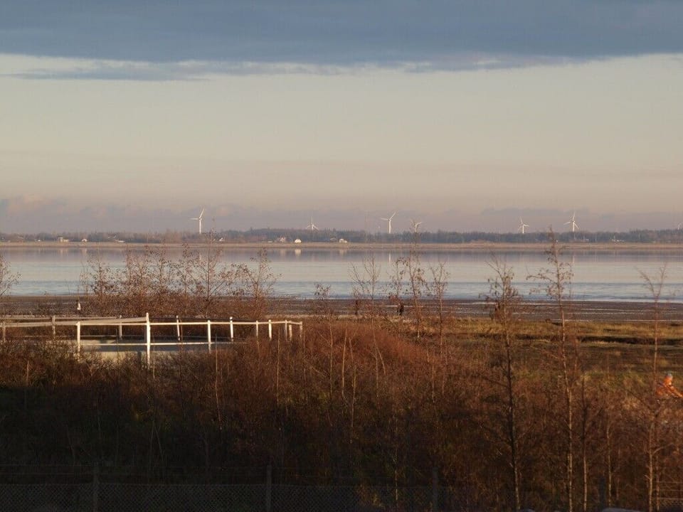 View of the Wadden Sea