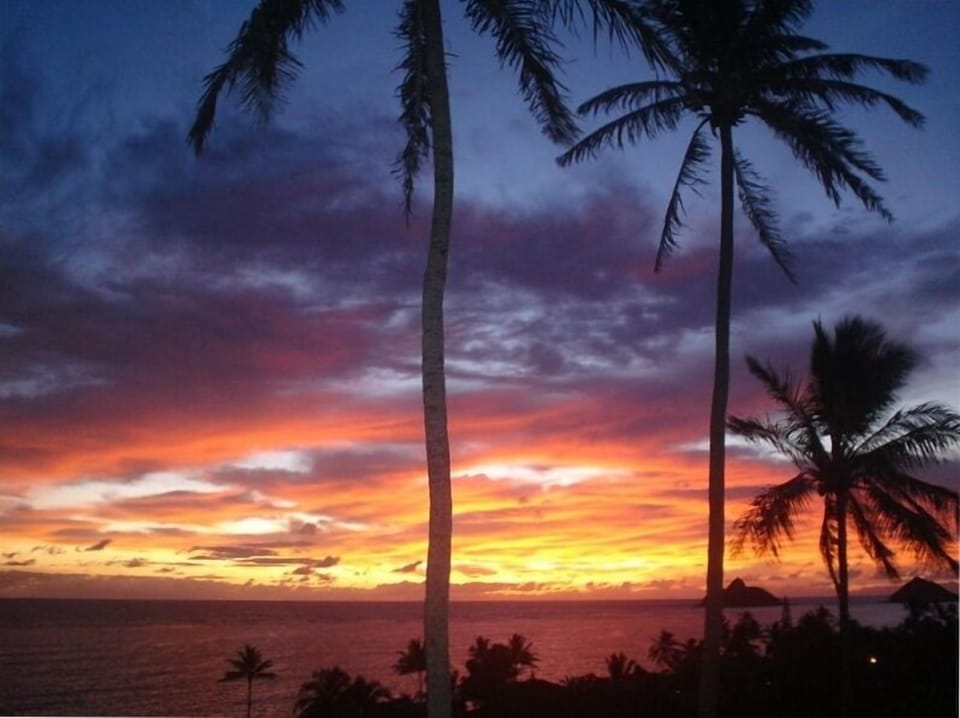 Spring spectacular sunrise