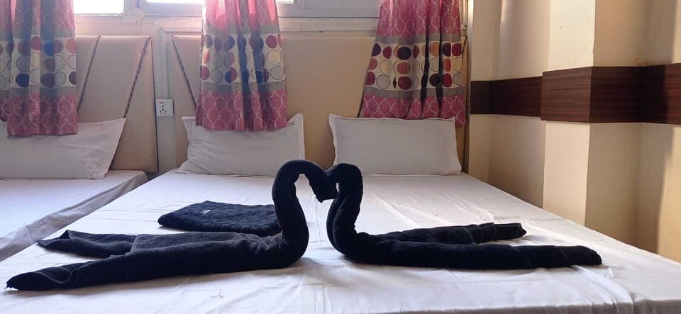 Deluxe Double or Twin Room, City View (AC) | In-room safe, free WiFi