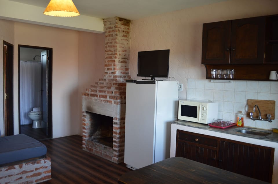 Apartment | Private kitchenette | Full-size fridge, microwave