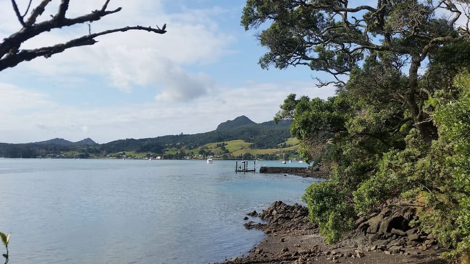 View of McLeod Bay from beyond the wharf.