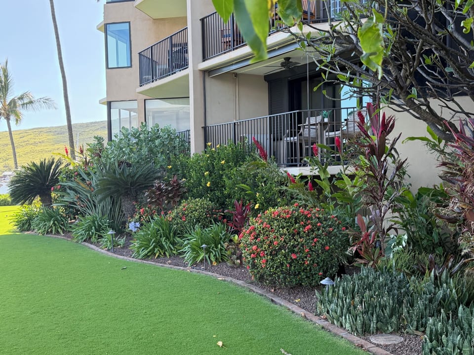 Beautifully landscaped property
