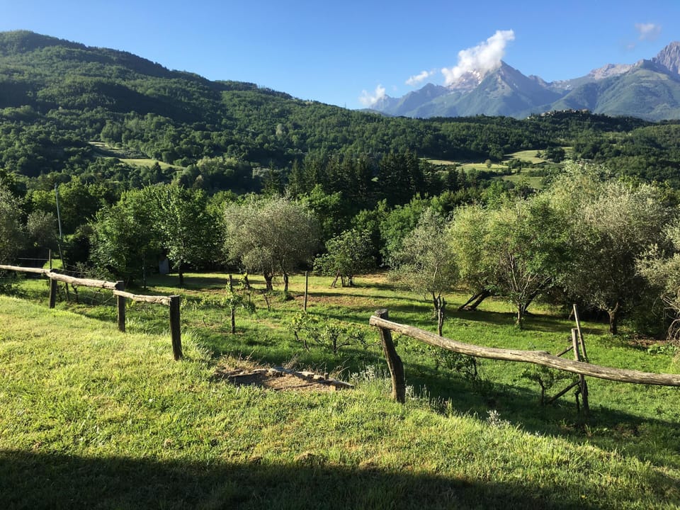 A general view from Falcetto