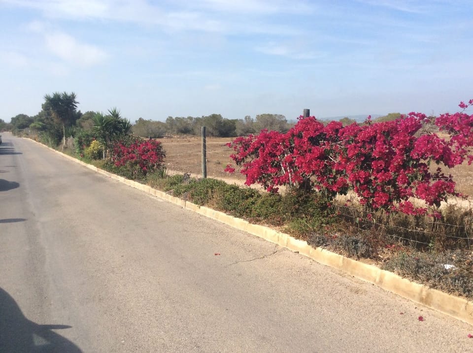 The natural park right outside the front gate..down to the lake or la mata beach