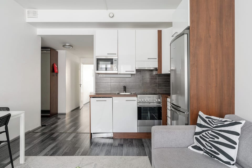 Comfort Apartment, 1 Bedroom, City View | Private kitchen | Full-size fridge, microwave, oven, stovetop