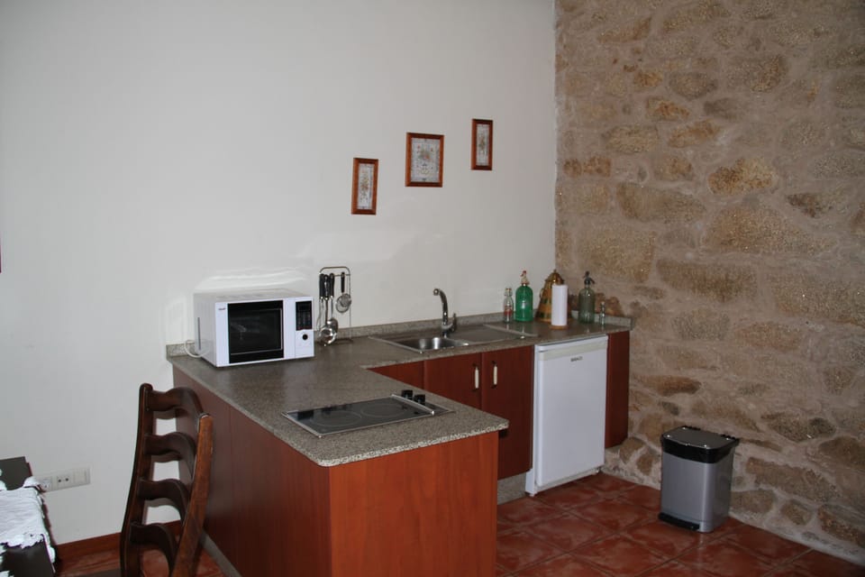 Family Apartment, 2 Bedrooms (A Palleira) | Private kitchen | Full-size fridge, microwave, oven, stovetop