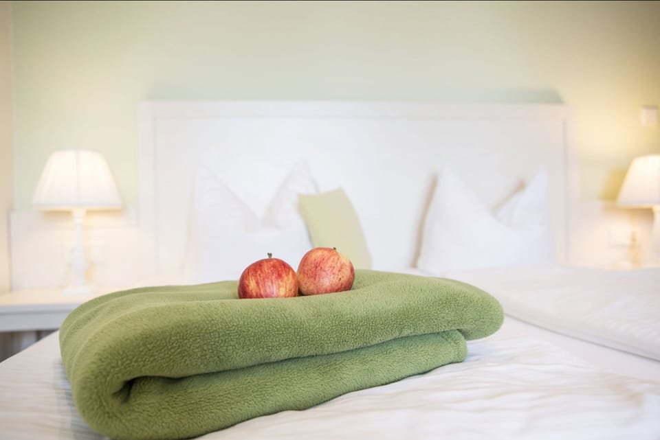 Classic Double Room, 1 King Bed, Non Smoking | Hypo-allergenic bedding, desk, iron/ironing board, cribs/infant beds
