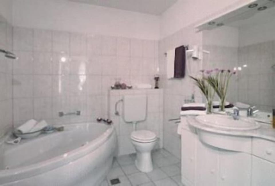 Hair dryer, towels