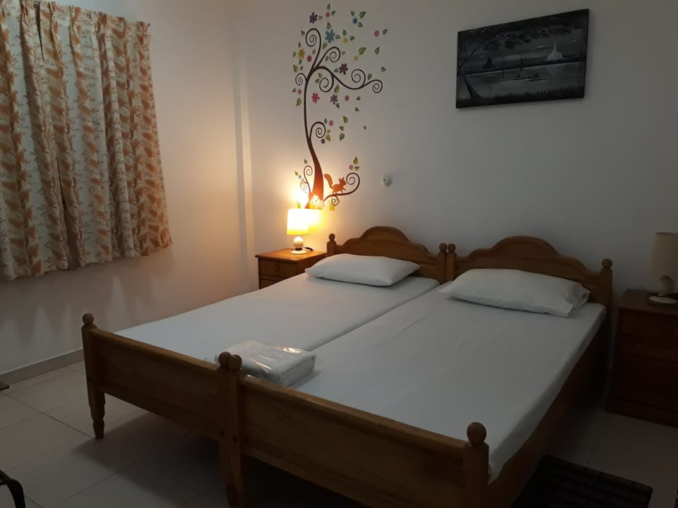 Superior Double or Twin Room | Individually furnished, soundproofing, iron/ironing board, bed sheets