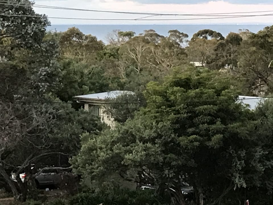 View from Balcony