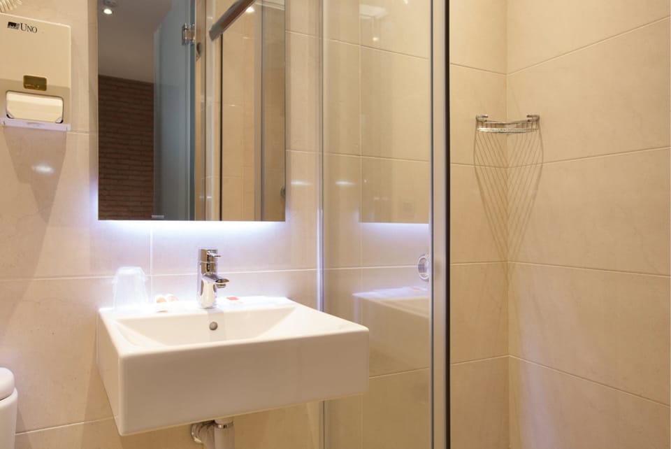 Single Room | Bathroom | Shower, hair dryer, towels