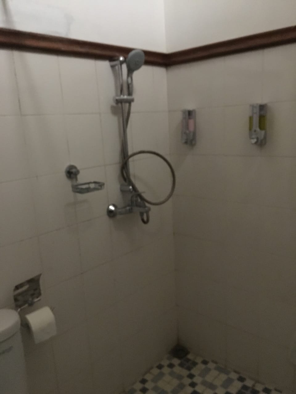 Standard Family Room | Bathroom shower