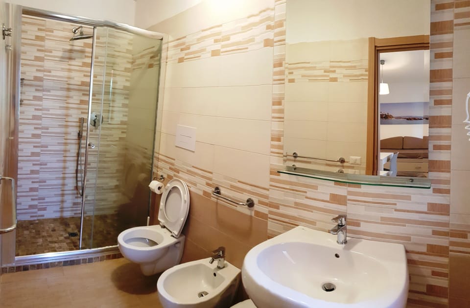 Shower, hydromassage showerhead, hair dryer, bidet