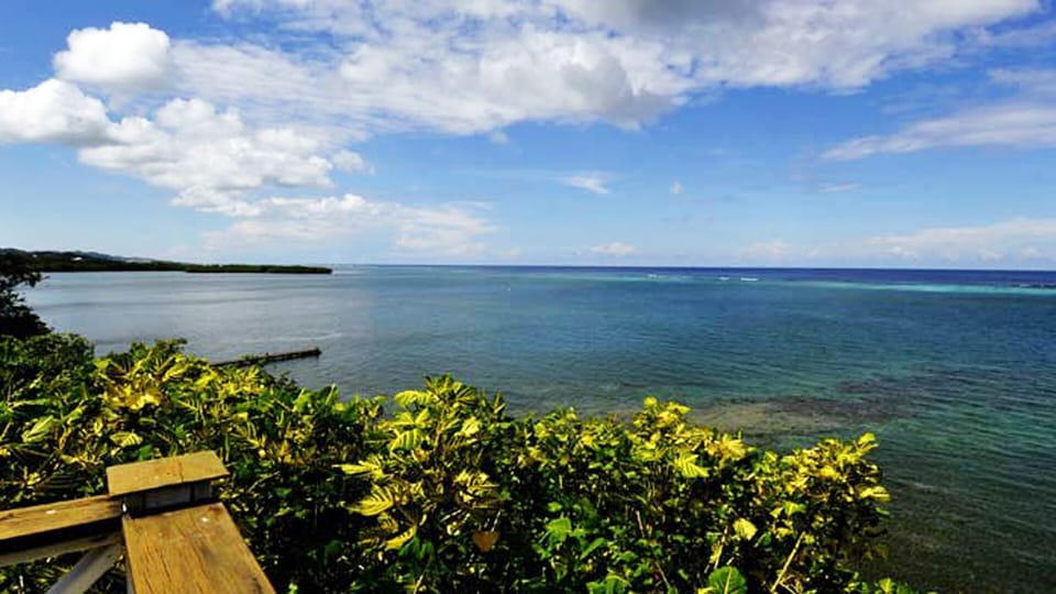 View from the pool deck.