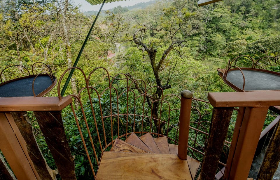 outdoor stairs under the roof combine the different levels in the TreeTop House