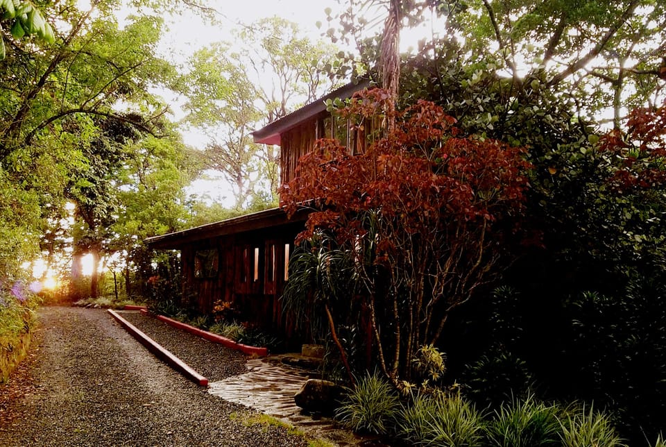 Sunset at the TreeTop House