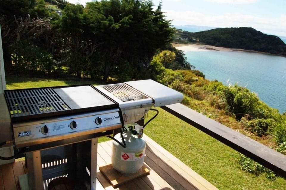 BBQ with a view.