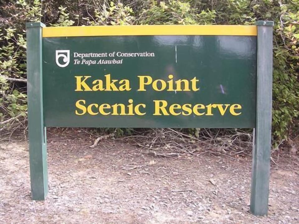 Native Bush Walks