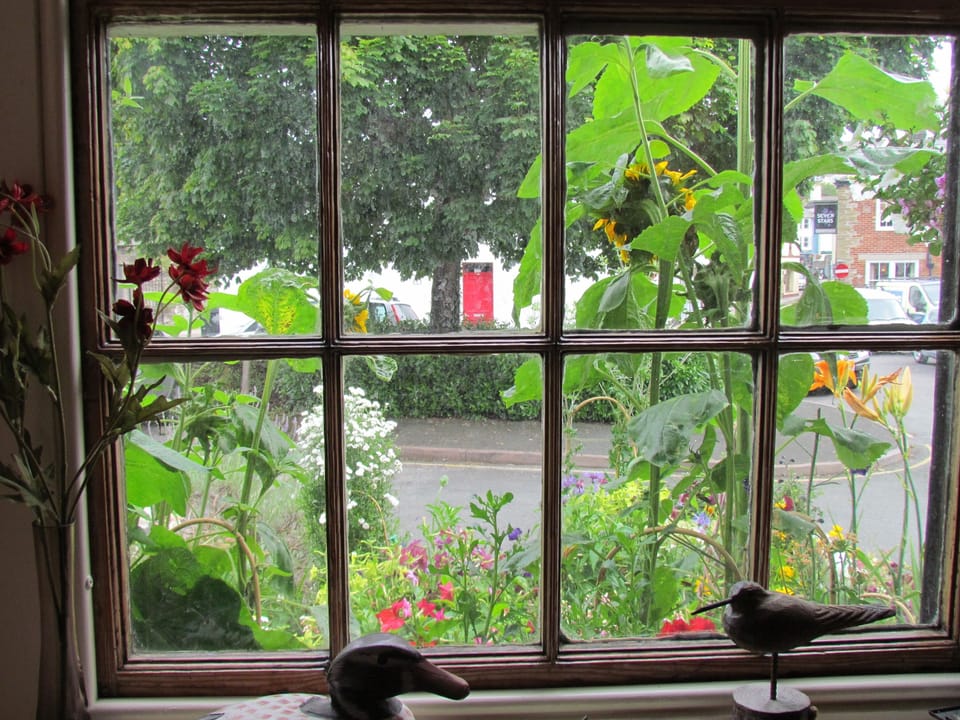 Looking out of front window (summer)