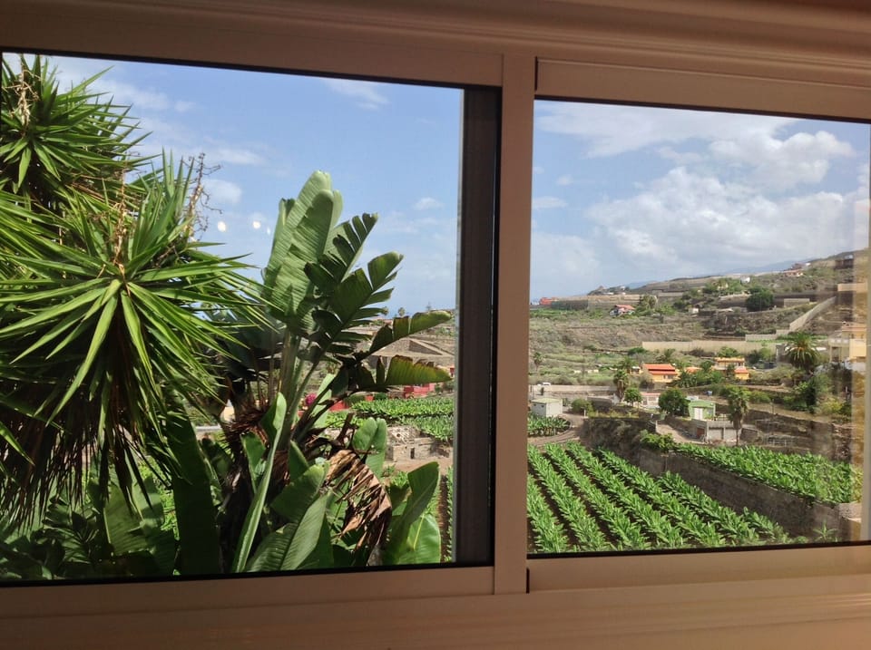 View from apartment.