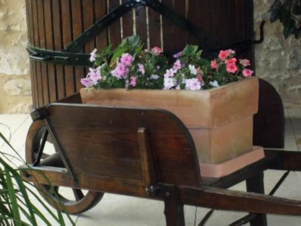 Terrace / Balcony