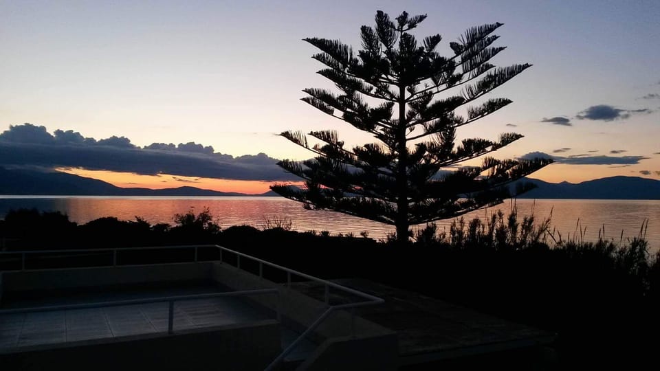 view from roof  terrace 